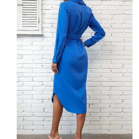 Blue Preppy Women Button Front Belted Shirt Dress - Picture 3 of 8